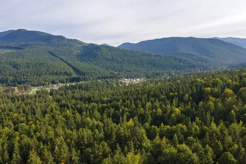 Aerial view of green pine forest with dark spruce trees covering mountain hills Stock Photos