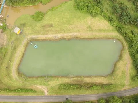 An aerial view of a green pond Stock Photos