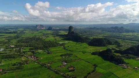 Aerial View Of Green Rice Fields with background mountains Stock Footage 77583702