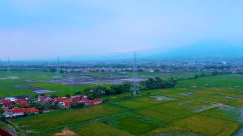 Aerial View of Green Rice Fields in Tegalluar on a Cloudy Day Stock Footage 169002358