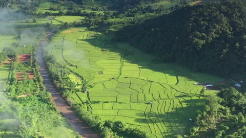 Aerial view of green rice fields in the middle of the forest. Video stock 234413866