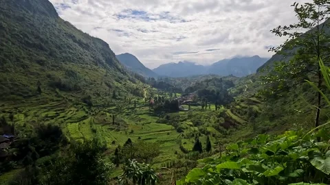 Aerial View of Green Rice Fields and High Mountains in Ha Giang Stock Footage 240880891