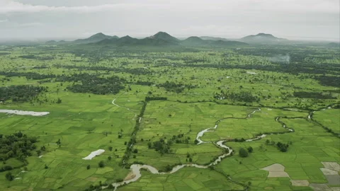 Aerial view of green rice fields in Cambodia Stock-Footage 331947743