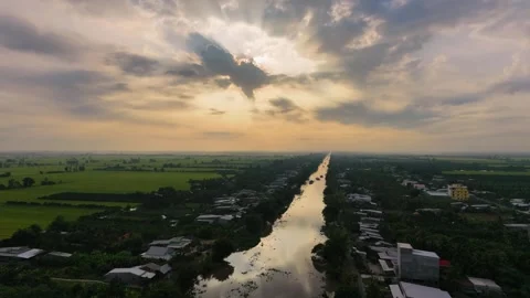 Aerial view of green rice fields and river in Mekong Delta at cloudy sunrise Vídeos de archivo 336040626