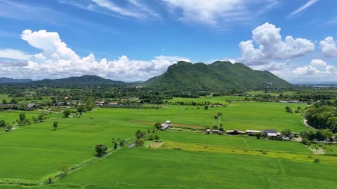 Aerial view of green rice fields in Kanchanaburi, Thailand Vídeo Stock 339092199