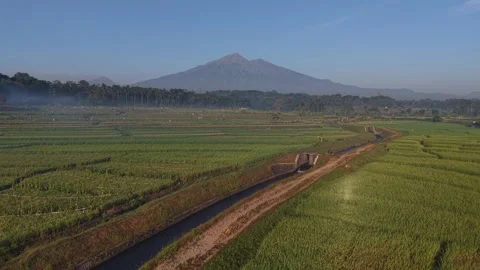 Aerial view of green rice fields with small river and mountain backdrop, Stock Footage 340323585