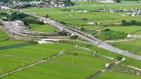Aerial view of green rice fields Stock Footage 340890023