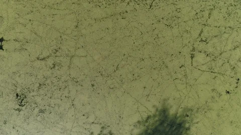 Aerial View green river 스톡 동영상 96613237