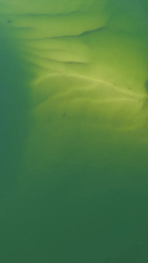 Aerial View of Green River Water and Sandbars in Surfers Paradise Stock-Footage 342575809