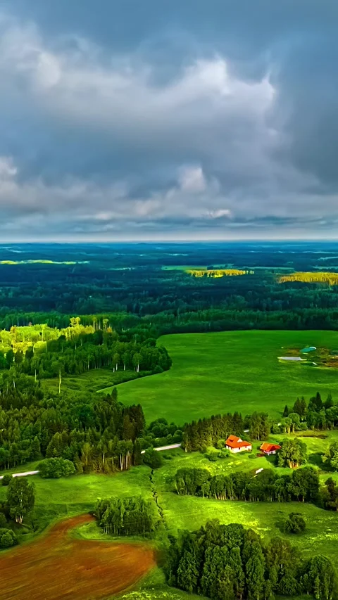 Aerial view of green rural fields and forests in, Latvia. Stock Footage 341485075
