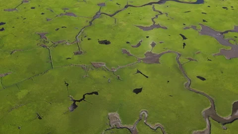 Aerial View of a Green Salt Marsh on Cape Cod, Massachusetts Stock Footage 340630464