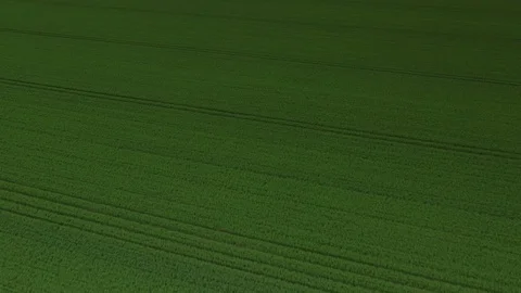 Aerial view of green spring field Stock Footage 107583345
