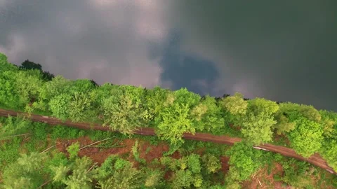 Aerial view of green summer forest and blue river Stock Footage 243360053