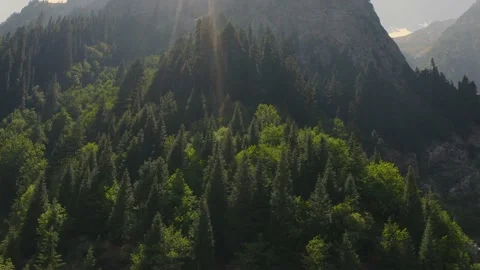 Aerial view of a green trees in the mountains in Kumrat valley,Pakistan Stock Footage 171908147