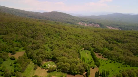 Aerial View of Green Walnut Forest in Arslanbob, Kyrgyzstan Stock Footage 340326059