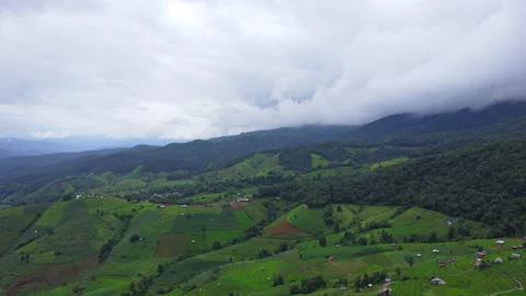 Aerial view of green wave fields with mountains and cloudy sky in rainy season. Stock Footage 205084868