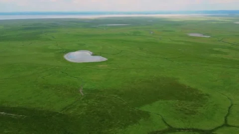 Aerial View of Green Wetlands Landscape with Ponds Stock Footage 315543953