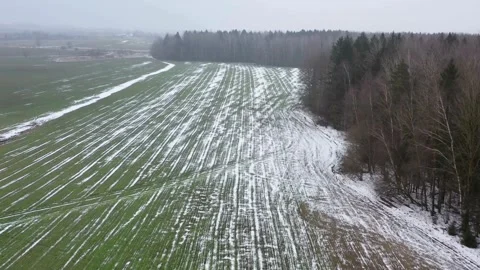 Aerial view of green winter fields and snowy landscape 스톡 동영상 333837121