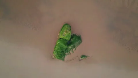 Aerial view greenery patch amidst arid dunes. Rugged texture of wilderness Stock Footage 274917077