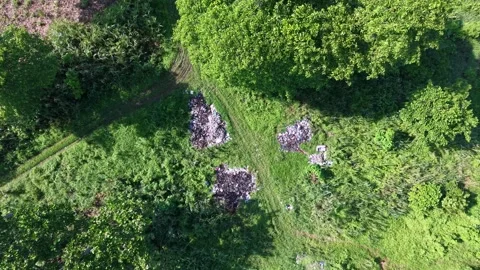 Aerial view of greenery with scattered trash piles 库存影片 339849384