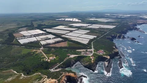 Aerial view of a greenhouse complex on the coast Stock Footage 341811946