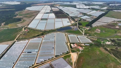 Aerial view of a greenhouse complex featuring polytunnels Stock Footage 341812277