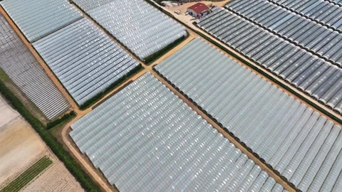Aerial view of a greenhouse complex featuring plastic greenhouses Stock Footage 341812408