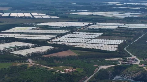 Aerial view of greenhouse complex Stock Footage 341811939