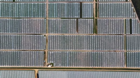 Aerial view of a greenhouse complex Stock Footage 341812340