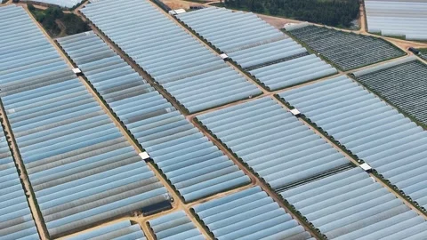 Aerial view of a greenhouse complex with plastic greenhouses Stock Footage 341812374