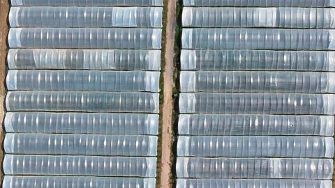 Aerial view of a greenhouse complex with polytunnels Stock Footage 341812045