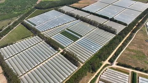 Aerial view of a greenhouse complex with polytunnels Stock Footage 341812176
