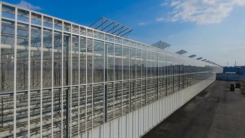 Aerial view of greenhouses with vegetables Stock Footage
