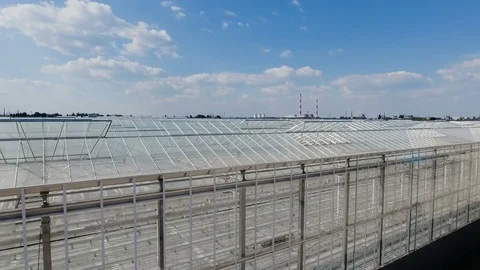 Aerial view of greenhouses with vegetables Stock Footage