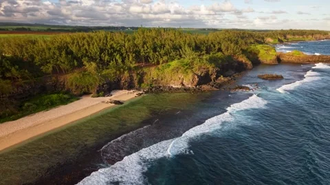 Aerial View of Gris-Gris Cliffs and Beach, Mauritius Stock Footage 308704751