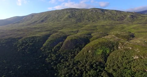Aerial view of Grootvadersbosch Stock Footage 289191869