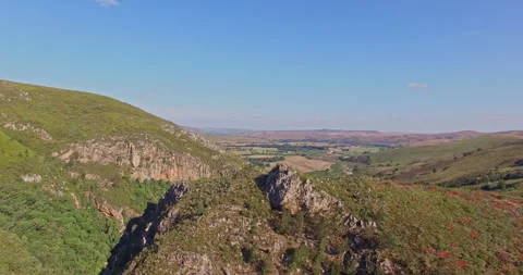 Aerial view of Grootvadersbosch Stock Footage 289194544