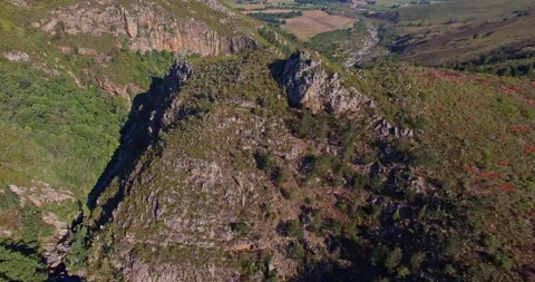 Aerial view of Grootvadersbosch Stock Footage 289195576