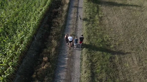Aerial view of a group of friends walking with a dog in rural field at Stock Footage 238455555