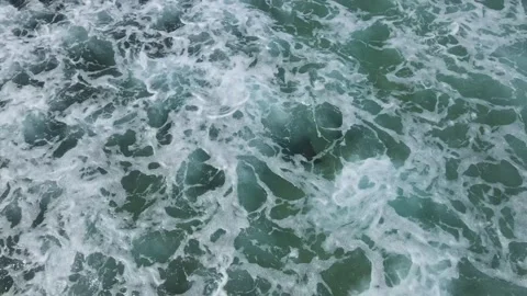 Aerial view of group of Manta rays in the ocean.  Stock Footage 295112989