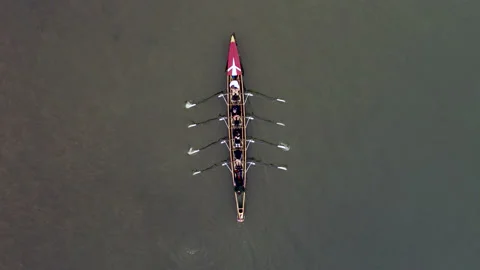 Aerial view of group of people rowing paddling in Rhine river Vidéo gratuite 138409048