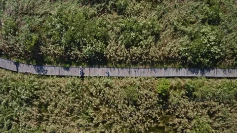 Aerial view group of people from the same family walking Video stock 137166674