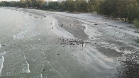 Aerial view Group of People walking on the Beach of Tanjung Leman Johor Stock Footage 148345048