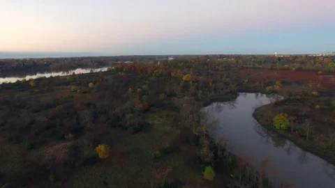 Aerial View Group of Red Trees on Island in Autumn Stock Footage 72236557