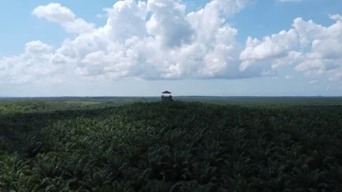 Aerial view of the guard tower or monitoring tower in the middle of a very .. Stock Footage 259627304