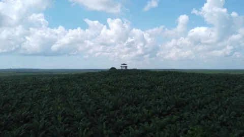 Aerial view of the guard tower or monitoring tower in the middle of a very .. Stock Footage 259627491