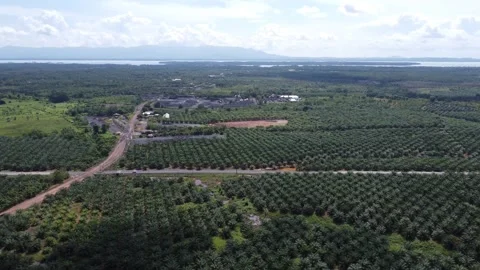 Aerial view of the guard tower or monitoring tower in the middle of a very .. Stock Footage 264043196