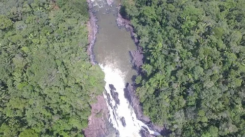 Aerial view Guaviare river, amazon forest, Colombia. (24) Stock Footage 113874178