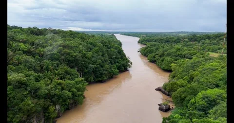 Aerial View of Guayabero River Surrounded by Lush Greenery Stock Footage 336563721