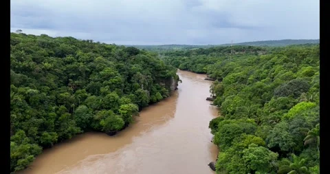 Aerial View of Guayabero River Surrounded by Lush Greenery Stock Footage 336563926